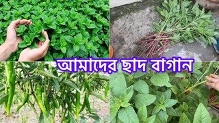 দুজনে মিলে সব্জি তুলি সাথে কে ছিলো॥