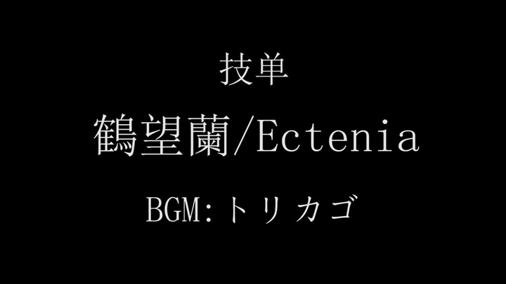 【技单】鶴望蘭（ストレリチア）/Ectenia【WOTA艺】