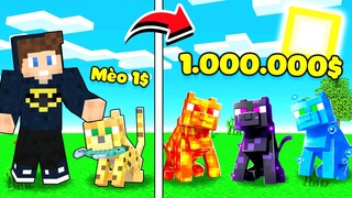 JAYGRAY THỬ THÁCH NÂNG CẤP THÚ CƯNG MÈO SIÊU VIP TRONG MINECRAFT*NHỮNG CON MÈO 1 TRIỆU ĐÔ CỰC NGẦU