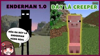 Top SỰ THẬT CHỈ Người Chơi Minecraft LÂU NĂM Mới Biết | Game Chan