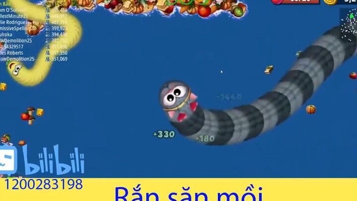 Rắn săn mồi - Săn Rắn Top 1 Đỉnh của chóp #game