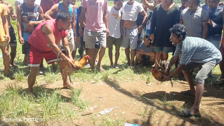 dalawa tari vs bulag na isa ang tari