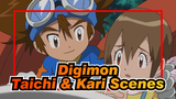 [Digimon] Taichi & Kari Scenes