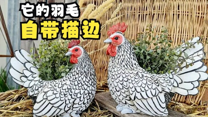 You're Too Beautiful, Chicken—A Chicken with Naturally Outlined Feathers!