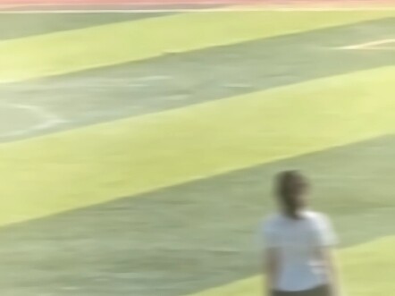 "Chinese Server Liu Ruyan"