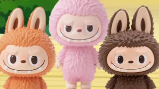 لابوبي اختفى!