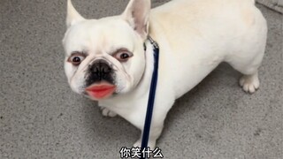 Ini malah kedengarannya bukan memuji saya, ya?