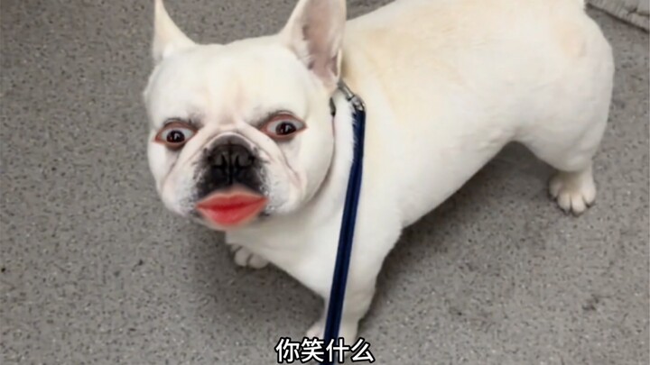 这听着也不像夸我的呀