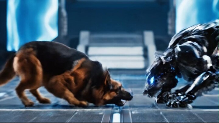 Robot Dog vs Beast — The Shocking Fight Ends!