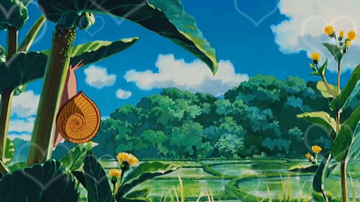 một ngày ở quê .