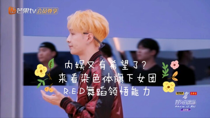 [RED Group] Please follow this standard for forming a group in the domestic entertainment industry