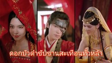 ดอกบัวดําขับขานสะเทือนทั่วหล้า