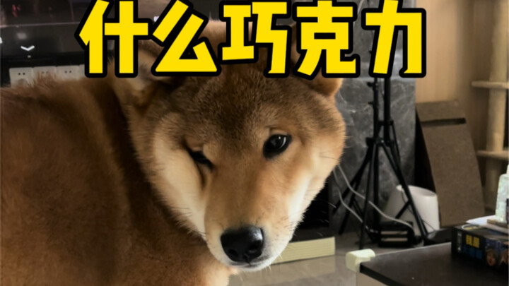 妈妈的好大儿（记仇八方）