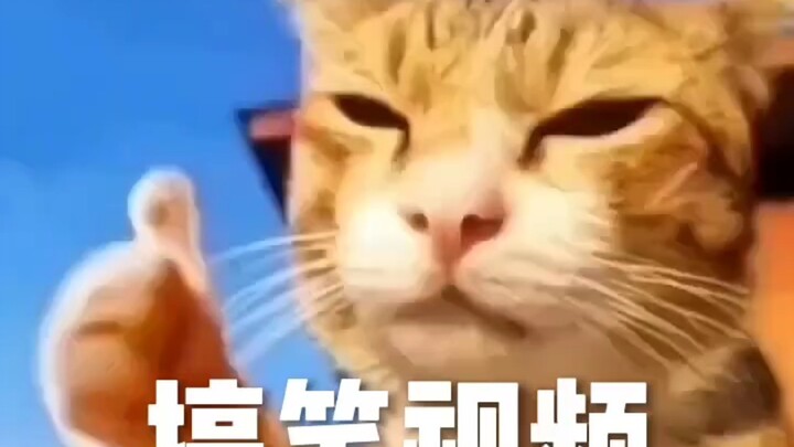 笑死人不偿命