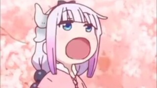 Pop Kanna