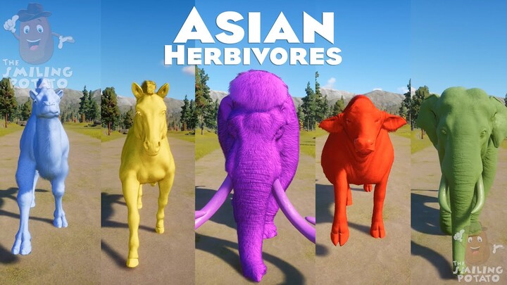 Colors of Asian Herbivores Animals Races in Planet Zoo included Holstein Cow, Gaur, Mammoth & others
