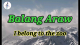 I Belong to The Zoo - Balang Araw (karaoke)