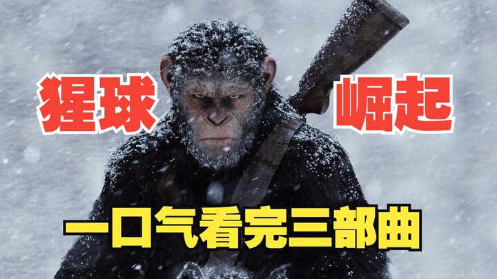 人类退化，大猩猩统治地球。一口气看完经典科幻电影《猩球崛起》3部曲