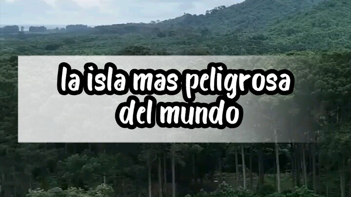 "🐍 La isla más peligrosa del mundo brazil 🌎🌳🌲✨