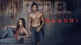 Baaghi (2016) Hindi 1080p Full HD
