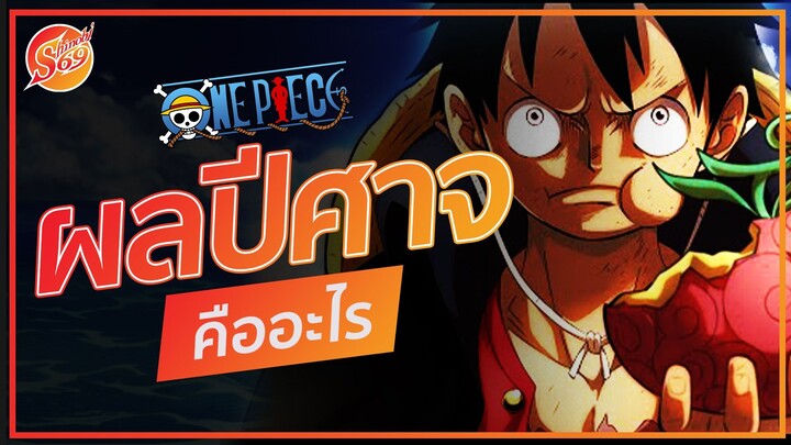 ONE PIECE : ผลปีศาจคืออะไร