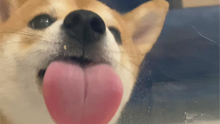 Absolutely don't sneak late-night snacks! Otherwise...