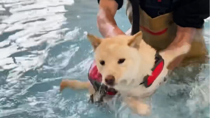 تعلم بسرعة! لم أعد أستطيع الشرب بعد الآن!