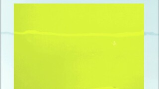 致谢里面到底有谁