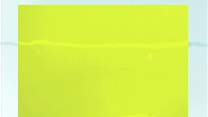 致谢里面到底有谁