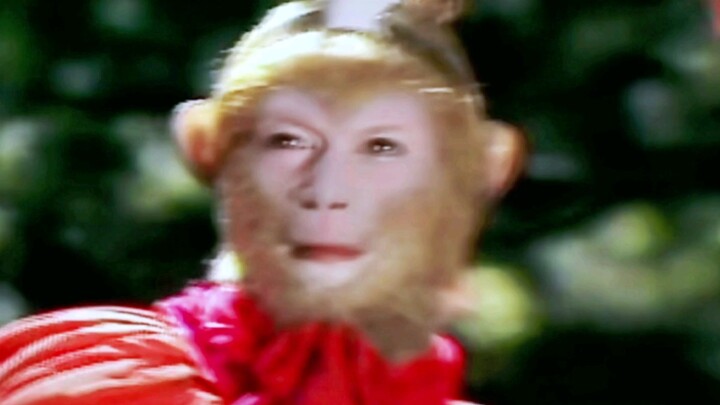 “Lights shimmer and sway, crinkling the corners of your eyes”