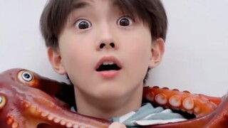 那一天的鱿鱼，鱿鱼起来🦑🦑🦑🦑🦑🦑🦑