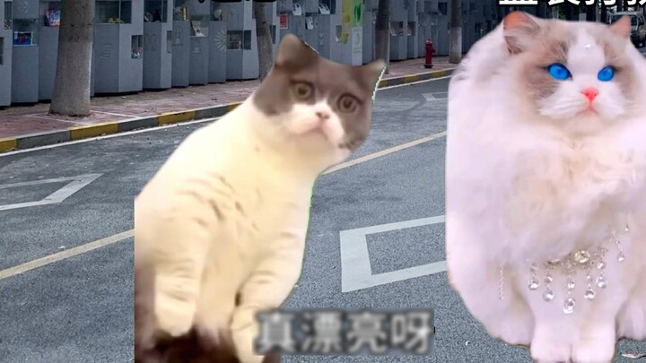 Khi hai người lần đầu tiên đến với nhau VS sau khi đã ở bên nhau một thời gian dài