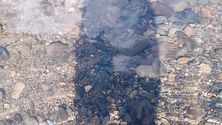 River