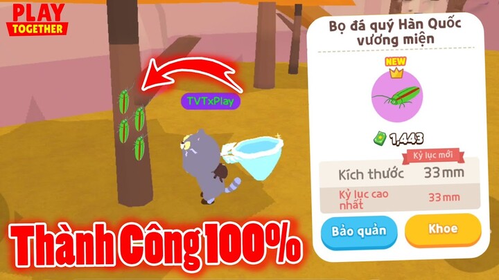 Cách Săn "Bọ Đá Quý Hàn Quốc VM" Thành Công 100%, Đây Là Vị Trí Dễ Xuất Hiện Nhất | Play Together