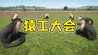 好家伙，猴子搞猿工大会了！【动物园之星#18】