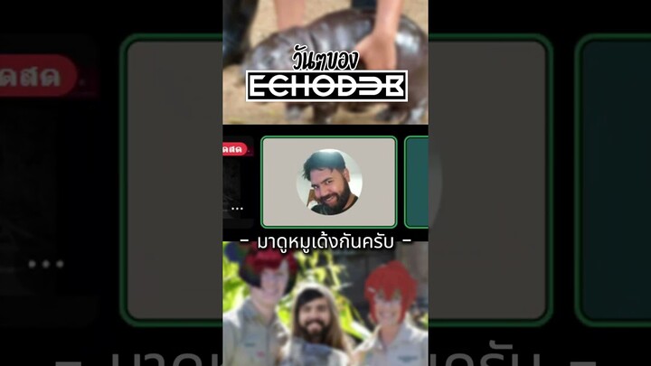 วันๆของ RE TEAM มาดู หมูเด้ง กันครับ #memey #RETEAM #วันๆของRETEAM #หมูเด้ง  #สวนสัตว์เขาเขียว