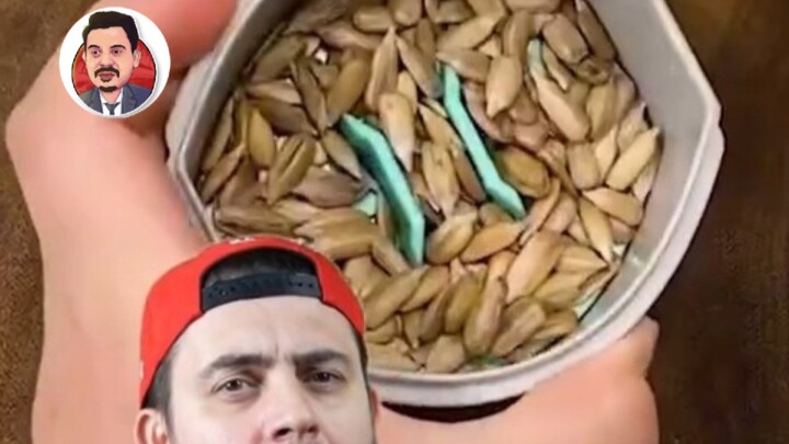 【ยาสเปะ】อุปกรณ์แกะเมล็ดแตงโม