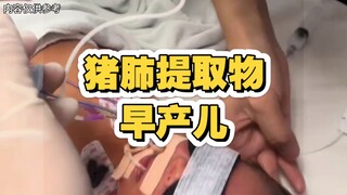 猪肺提取物