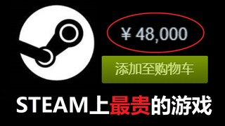 السعر 48000 يوان؟ اللعبة الأغلى في تاريخ ستيم! ما اللعبة التي يمكنك شراؤها بـ 50 ألف يوان؟