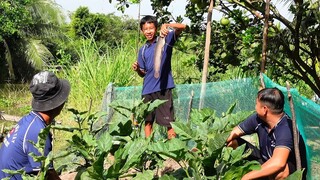 Công việc đầu tiên của anh em Bin năm mới - Bin Đen Miền Tây # 279