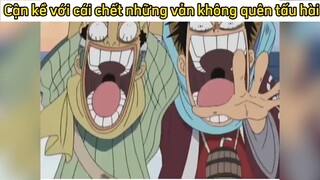 Đúng là đội tấu hài mà🤣
