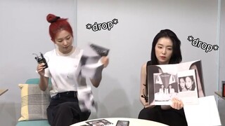 Seulrene sharing one brain cell for 5 mins straight