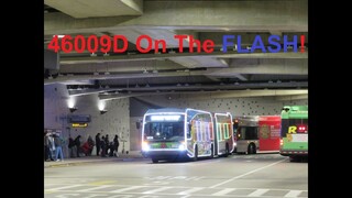 NeoplanDude | MCT Ride On 2020 NovaBus LFS-A #46009D on the FLASH Blue, To Silver Spring Station!