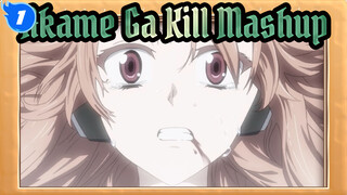 Mashup Mengharukan Selama 5 Menit Akame Ga Kill | Sedih_1