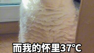-7℃和37℃看你怎么选？