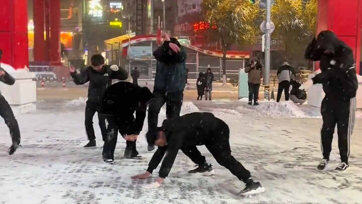东北人不追星 因为东北全明星