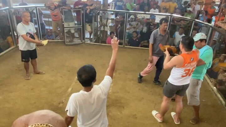 San miguel bohol fight (Thessalonica Farm ung orange Jersey ung may hawak) bakbakan to the max