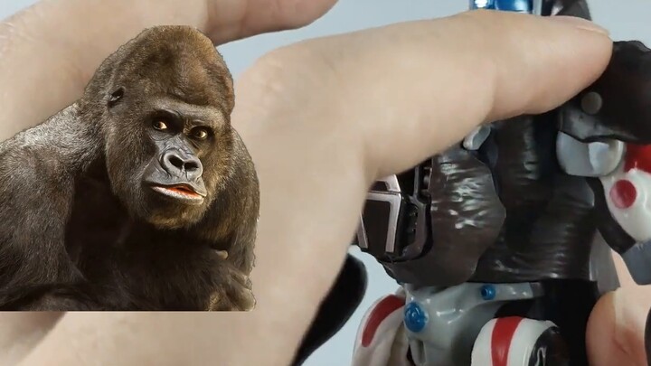 [Issue 23] Superfluous and unproductive creativity, TA's first generation gorilla captain Qing Tians