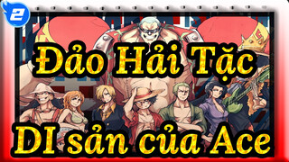 Đảo Hải Tặc| DI sản của Ace_2