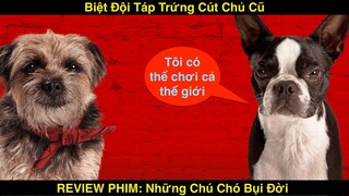 Biệt Đội Cắn Xúc Xích Chủ Cũ Của Những Chú Chó Bị Bỏ Rơi | REVIEW PHIM